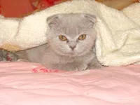 DSC09989.JPG