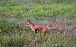 1314644680_dsc_0637-1.webp