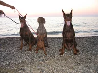 IMG_7507.webp