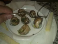 01092011381.webp