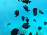 00969e153df8f72693cf7969eef002af.jpg