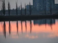 8djeed.webp