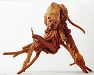 _496_Pantera morda krupn.webp