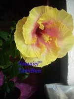 DSCN6906.jpg