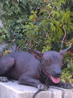 0320_002.webp