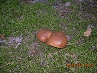 DSCN3493.jpg