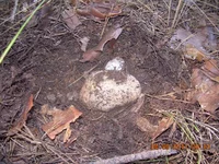 DSCN3495.jpg