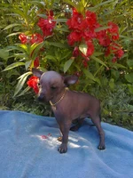 0485_001.webp