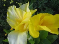 .webp