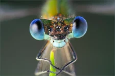 DSC52280с.webp