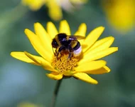 01_21.webp