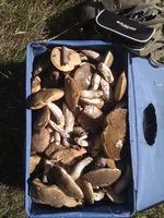IMG_20110904_105253.webp