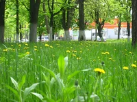 107580563.webp