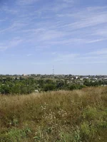 P8310390_1.webp