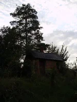 P8310394_1.webp