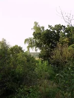 P8310401_1.webp