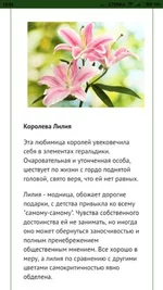 jffaj2.webp