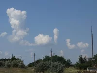cjd6fe.webp