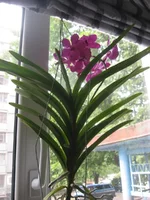IMG_0032.webp
