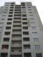 DSC00425.webp
