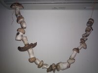 IMG_20110909_153536.jpg
