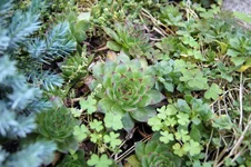 DSC00124.webp