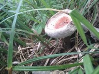 IMG_20110910_130319.jpg