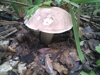 IMG_20110910_130525.jpg