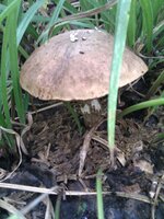 IMG_20110910_133640.jpg