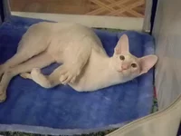 E-03-2011 153.webp