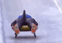 3.gif