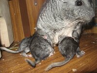 IMG_0037.jpg