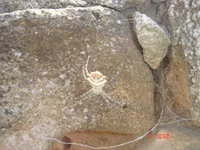 DSC06672.jpg