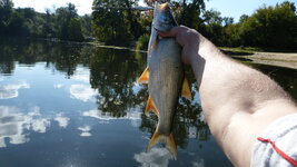 P1020115.JPG