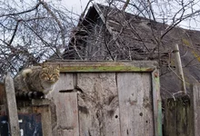 _2.webp