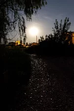 _7.webp