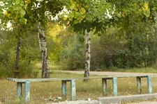 _8.webp