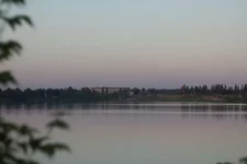 _17.webp