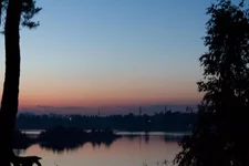 _19.webp