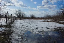 _23.webp