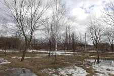 _24.webp