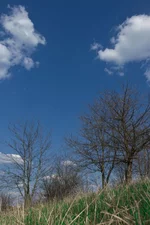 _34.webp