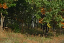 DSC_9066.webp