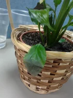 2011-09-22 09.26.10.webp