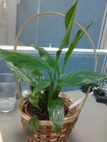 2011-09-22 09.26.19.webp
