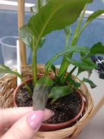 2011-09-22 09.26.33.webp