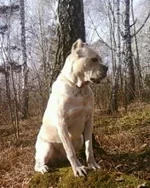 19858215124ce406d3dbc4b.jpg