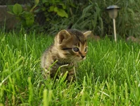_KMY6822.webp
