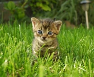 _KMY6823.webp
