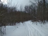 5jfhjh.webp